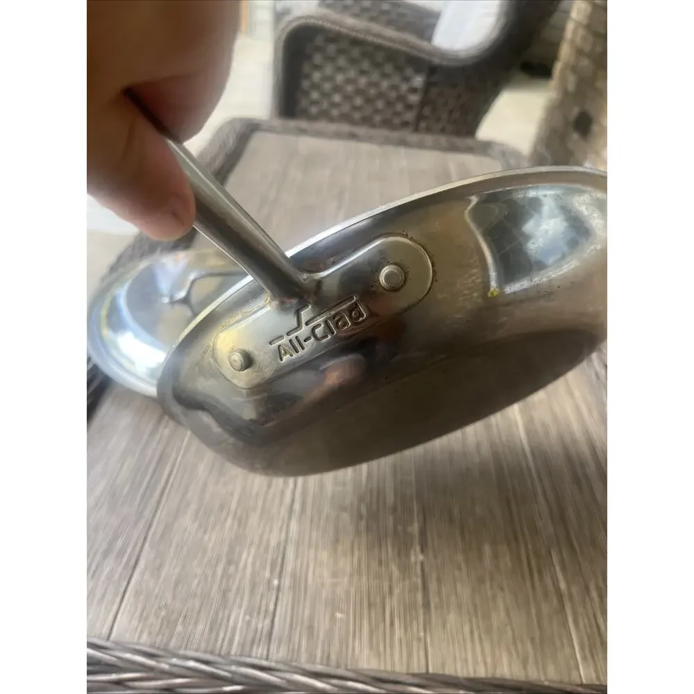 All-Clad Stainless Steel 10